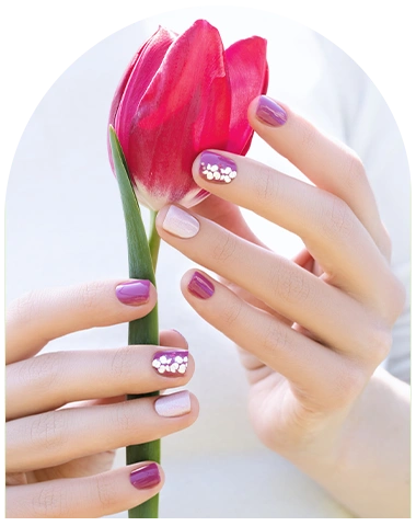 A beautiful pink flower